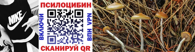 Галлюциногенные грибы прущие грибы  наркотики  Долгопрудный 